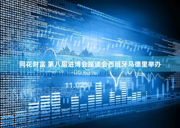 同花财富 第八届进博会座谈会西班牙马德里举办