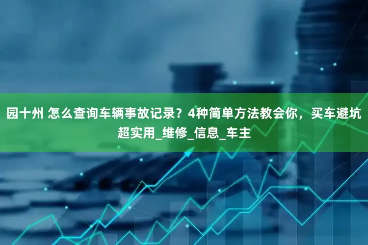 园十州 怎么查询车辆事故记录？4种简单方法教会你，买车避坑超实用_维修_信息_车主