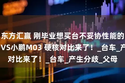 东方汇赢 刚毕业想买台不妥协性能的车？领克Z20VS小鹏M03 硬核对比来了！_台车_产生分歧_父母