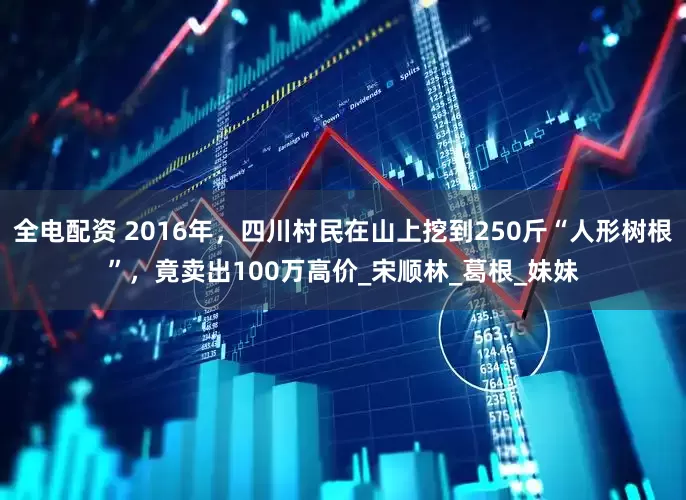 全电配资 2016年，四川村民在山上挖到250斤“人形树根”，竟卖出100万高价_宋顺林_葛根_妹妹