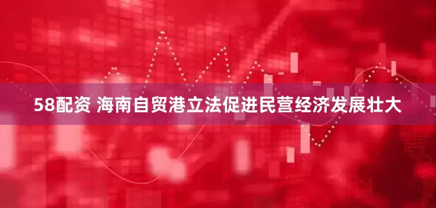 58配资 海南自贸港立法促进民营经济发展壮大