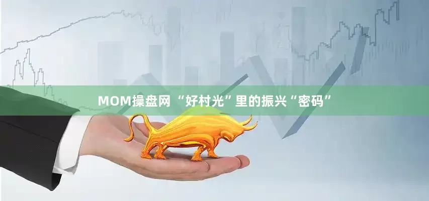 MOM操盘网 “好村光”里的振兴“密码”