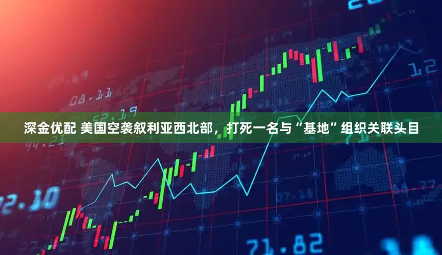 深金优配 美国空袭叙利亚西北部，打死一名与“基地”组织关联头目